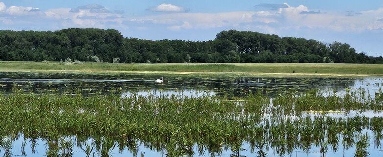Photo de Tanjasusanna le long du parcours