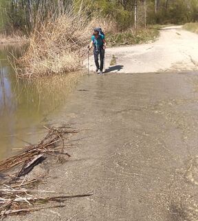 Szigetköz Donau-Aue