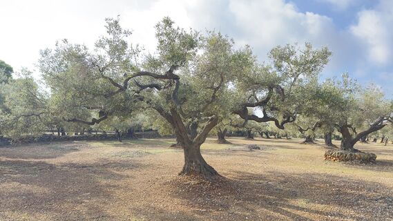 Kuva osoitteesta Rene51 matkan varrella