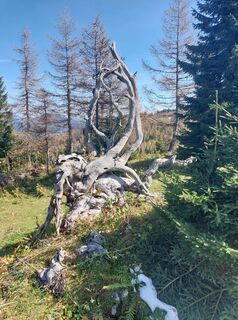 Photo de Helmut Wagner 2 le long du parcours