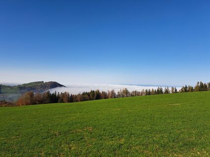 Fotografia z Daniel Wagner na trase