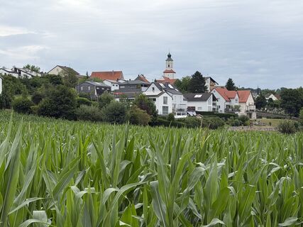 Foto von Schaali entlang der Tour