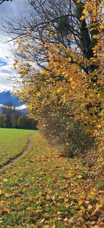 Fotografia z Buchegger Barbara na trase