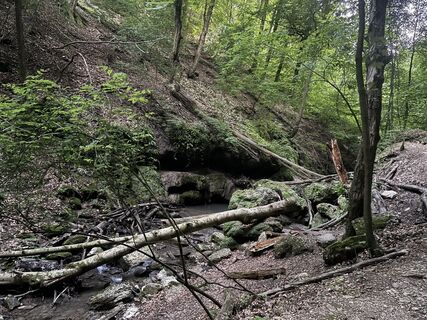 Fotografia z Reti Alicia na trase
