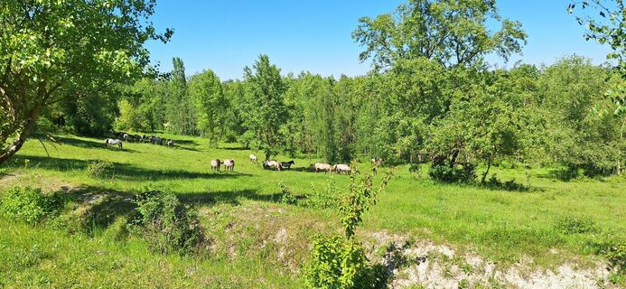 Photo de Odett Rácz le long du parcours