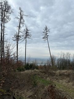 Foto von Babs Holz entlang der Tour