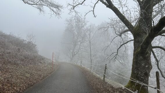 Foto fra amadu undervejs på turen