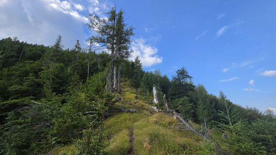 Photo de EP87 le long du parcours