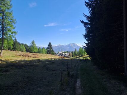 Photo de Hannes Großberger le long du parcours