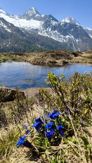 Photo de walrei le long du parcours