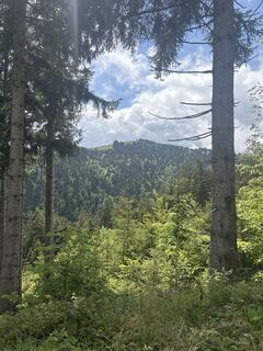 Fotografia z Frank Büttner na trase