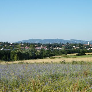 Blick auf das Dorf Grézieu