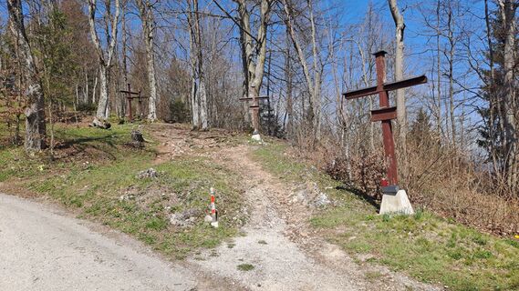 Fotografija s spletne strani Tadeja Gornik na poti