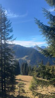 Fotografija s spletne strani Dominique Vlach na poti