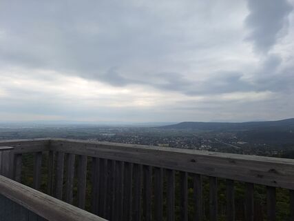 Photo de Reinlinde Trummer Milkovits le long du parcours