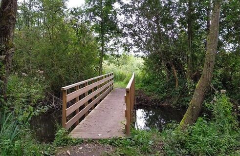 Belloy_Brücke im Belloy-Moor