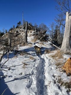 Foto von Karl Hohenwarter entlang der Tour