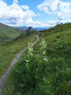 Foto från Dagmar Hofer under resans gång