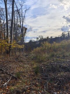 Foto från Katona Ferk Mariann under resans gång