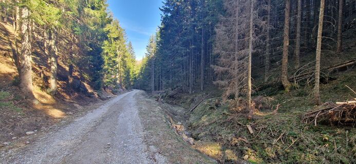 Foto von Utassy Tóth Johanna entlang der Tour
