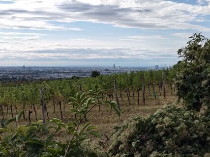 Foto von Poschacher entlang der Tour