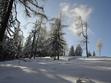 "Wintertraum"