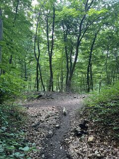 Zdjęcie z Levente Németh wzdłuż trasy