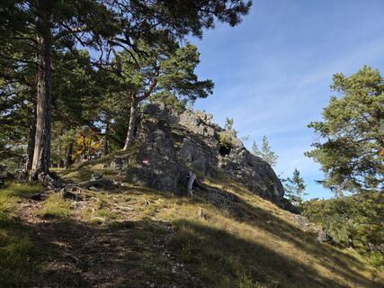 Fotografia z Timon Bertignoll na trase