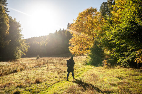 Blick über die Feuchtwiesen im Busselbachtal