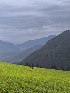 Foto von Thomas Schneider entlang der Tour