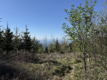 Foto von ewald ertl entlang der Tour