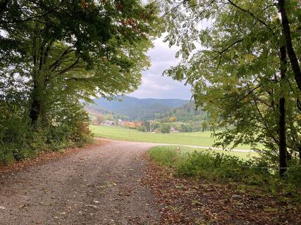 Blick ins Niemtal