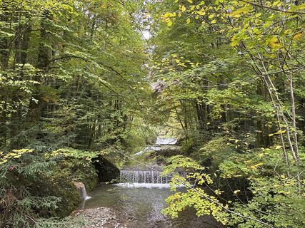 Photo de Heinz Sperl le long du parcours