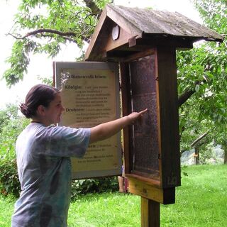 Schaustock am Erlebnisweg Honigbiene in Anger, Oststeiermark
