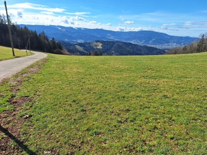 Fotografia z wen na trase