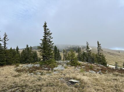 Photo de Georg B. Meier le long du parcours