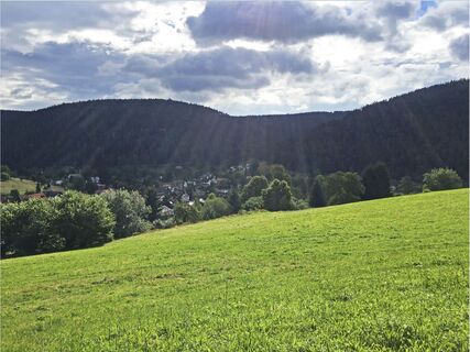 Aussicht ins Enztal