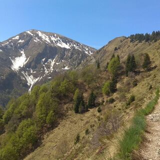 Weg nach Saval