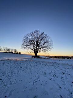 Foto von Sven Krieblin entlang der Tour