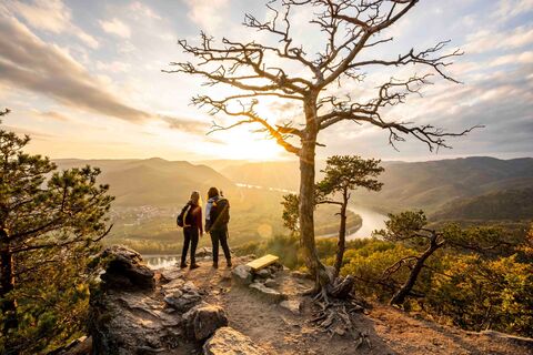 In Dürnstein von der Kanzel