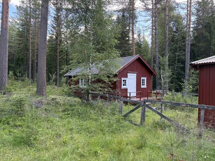 Fotografie z Jako Koel na trase