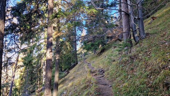 Fotografia z EP87 na trase