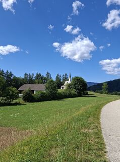 Foto von Mangolein entlang der Tour