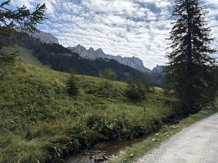 Fotografija s spletne strani Peter Bolliger na poti