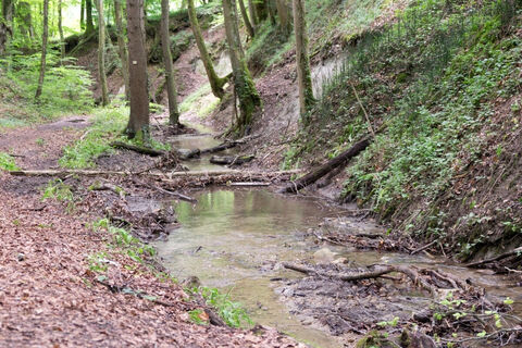 Klingenbachschlucht