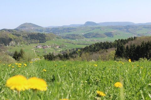 Auf dem Glaubensweg 23