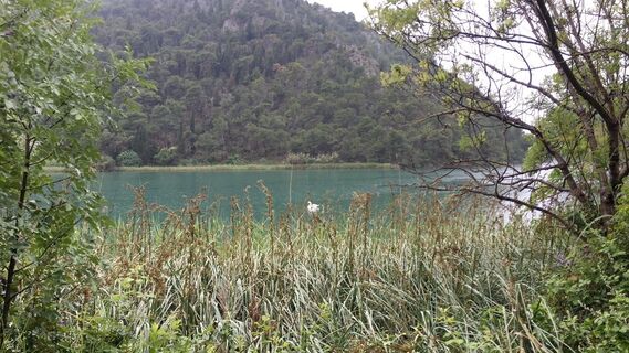 Foto fra Lomalinda undervejs på turen