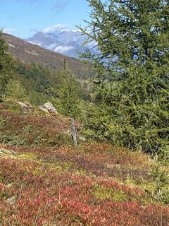 Photo de Ch Kurzke le long du parcours