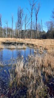 Foto von Enkidu55 entlang der Tour