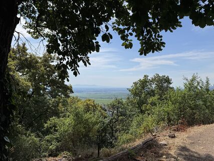 Photo de Adnan Cemal le long du parcours